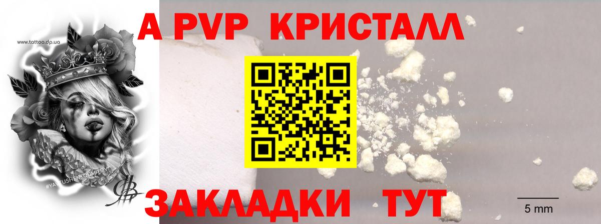 А ПВП СК Ростов Великий