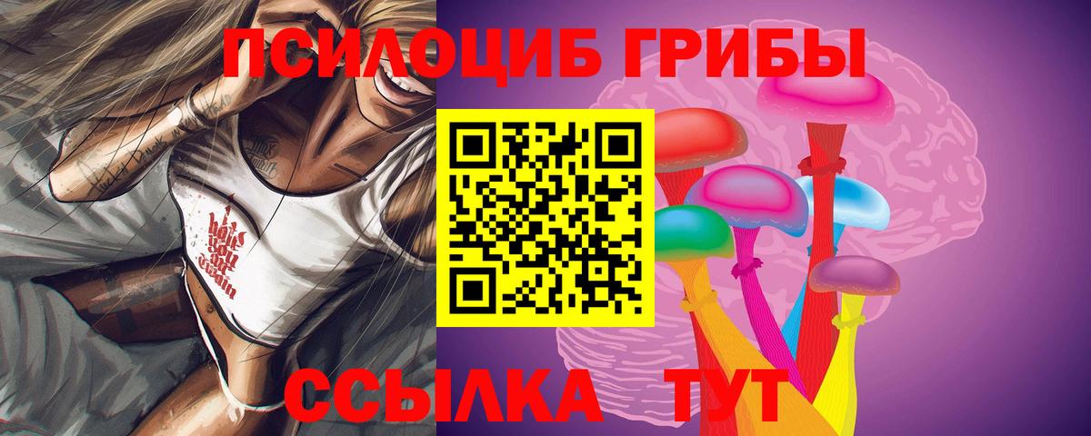 наркота  Вход с VPN  Галлюциногенные грибы Psilocybe  Ростов Великий  Псилоцибиновые грибы Cubensis 